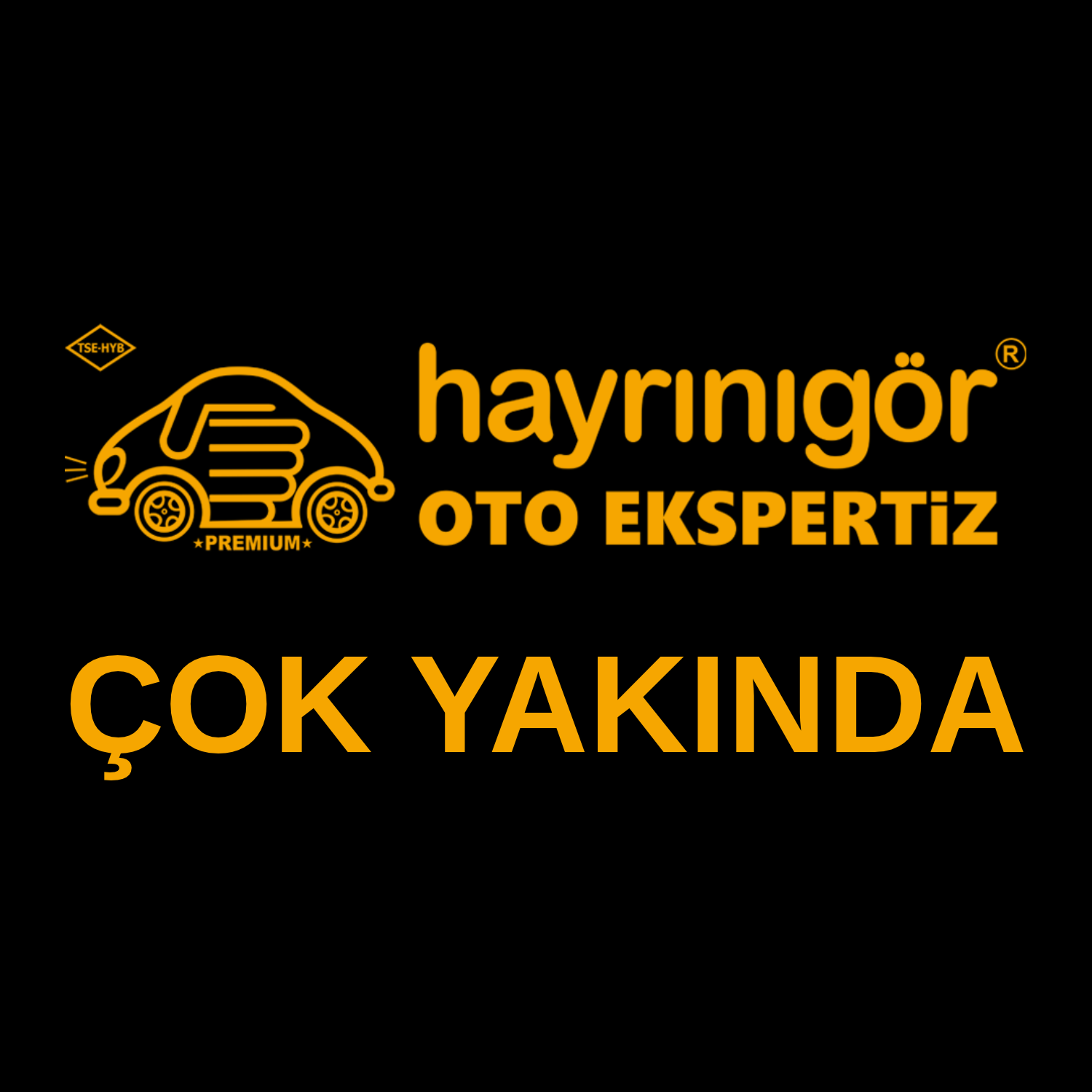 Adana Seyhan Hayrını Gör Oto Ekspertiz